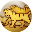 Тигриная стая